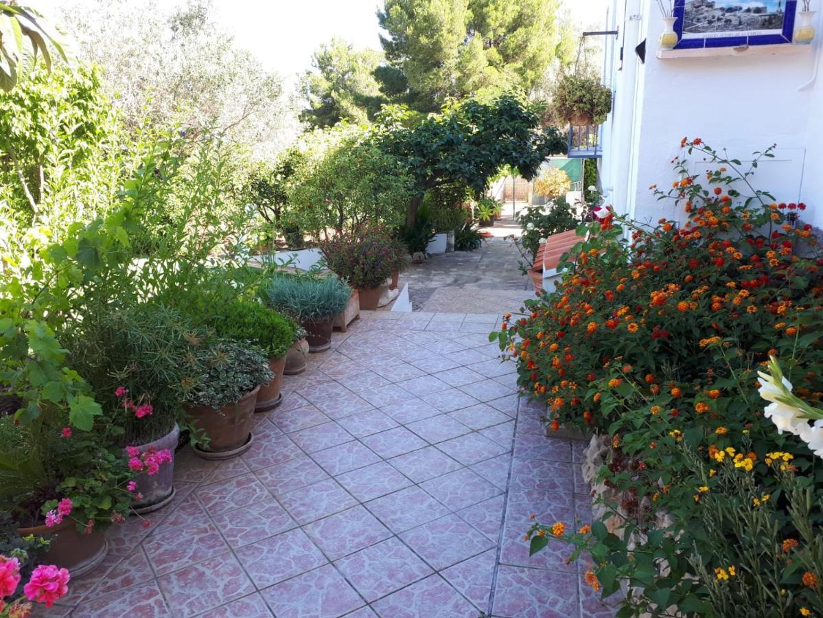 Villa Paradise Private Pool And Garden In A Natural Park For 9 Jávea Kültér fotó
